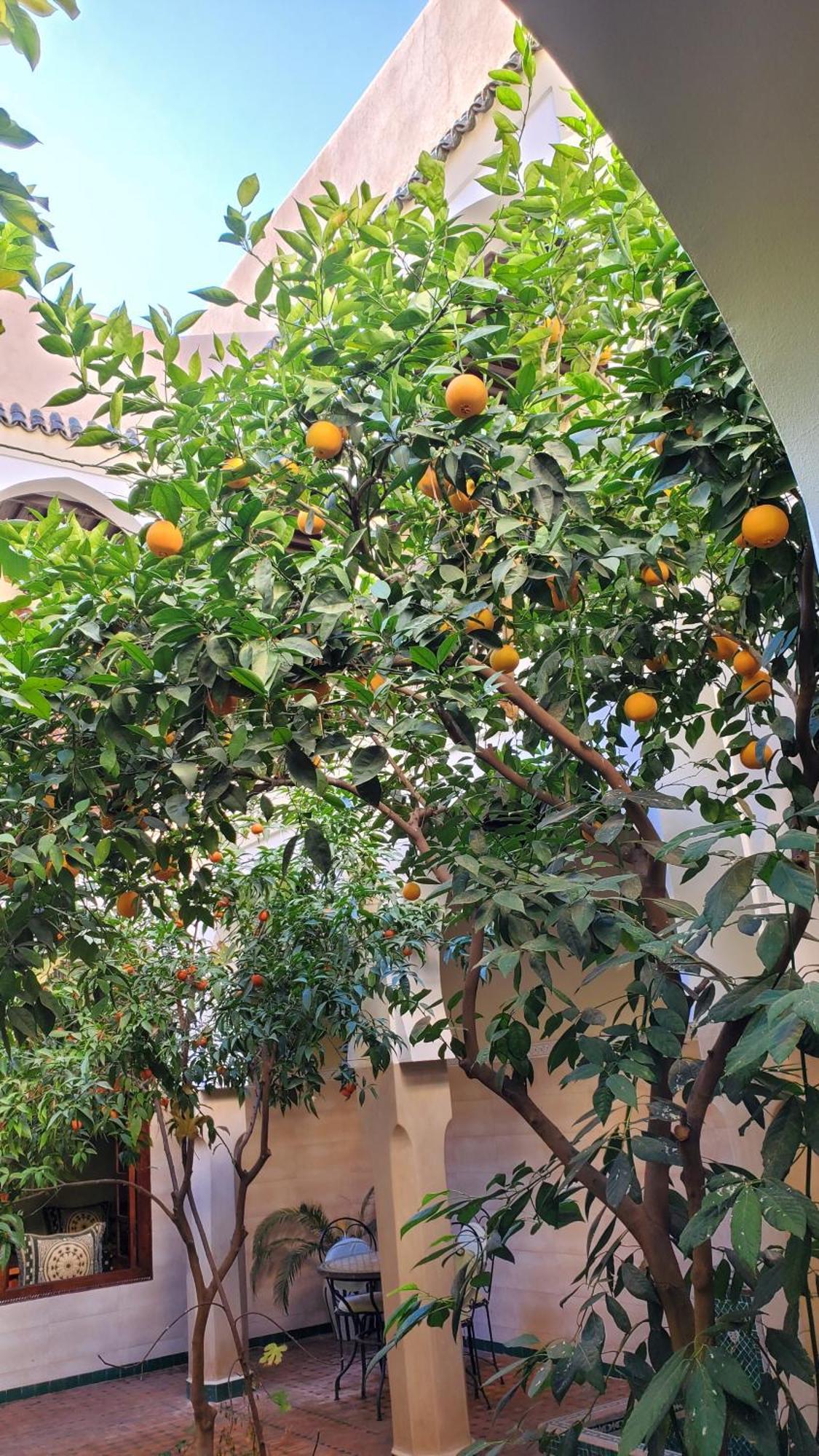 Riad Tidar By Phoenix Marraquexe Exterior foto
