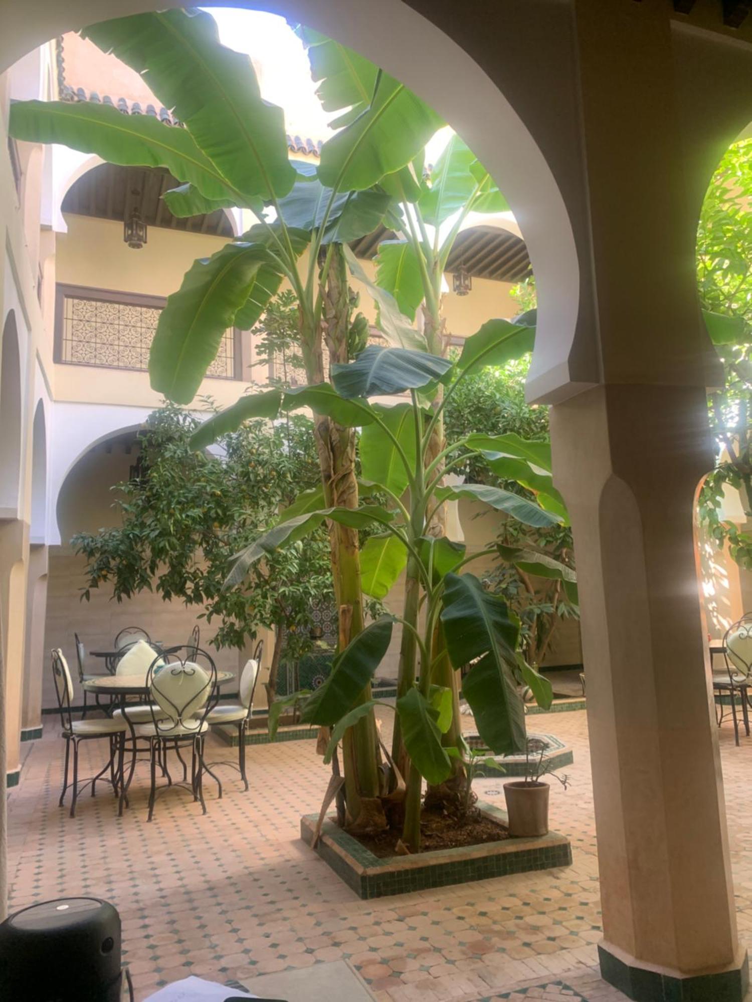 Riad Tidar By Phoenix Marraquexe Exterior foto