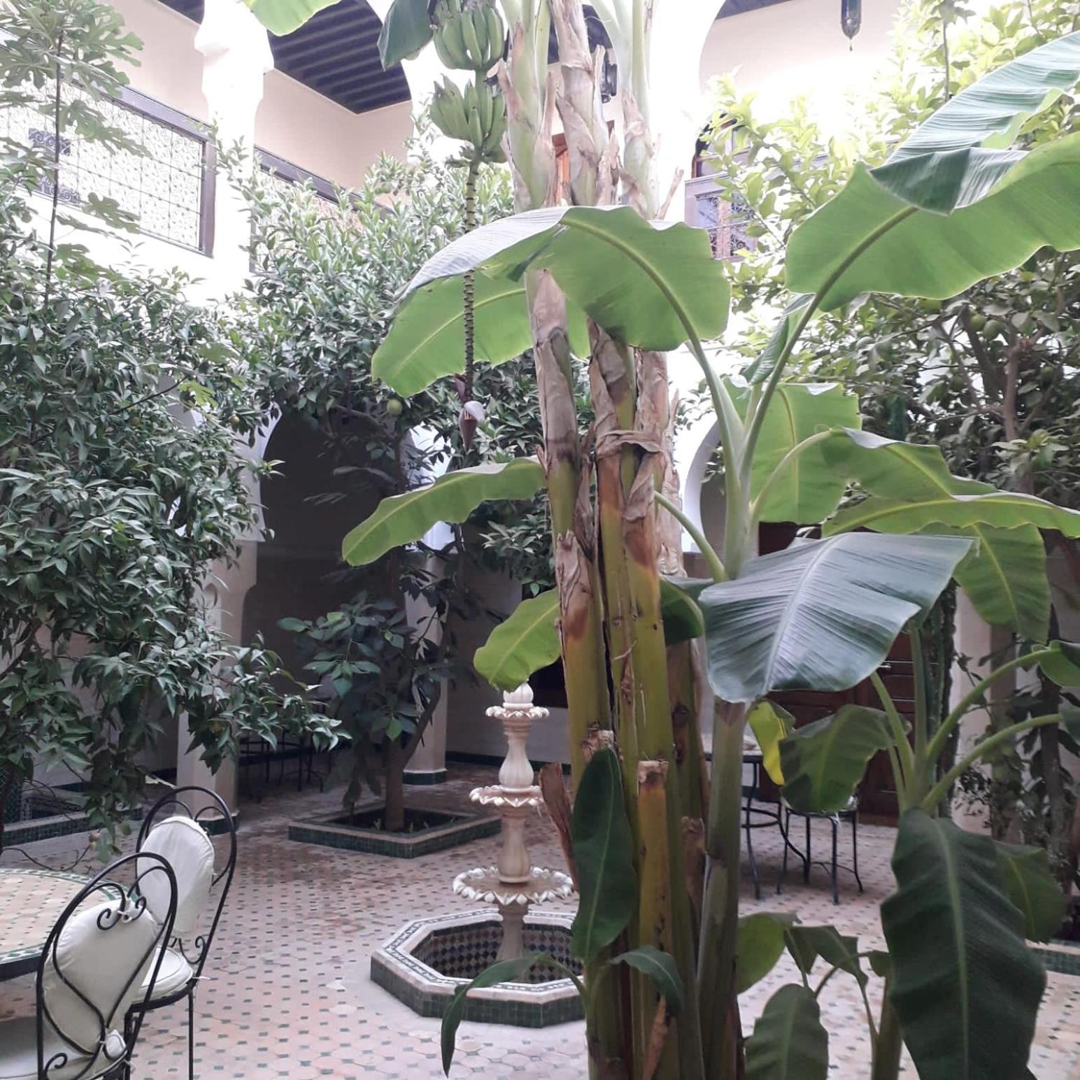 Riad Tidar By Phoenix Marraquexe Exterior foto