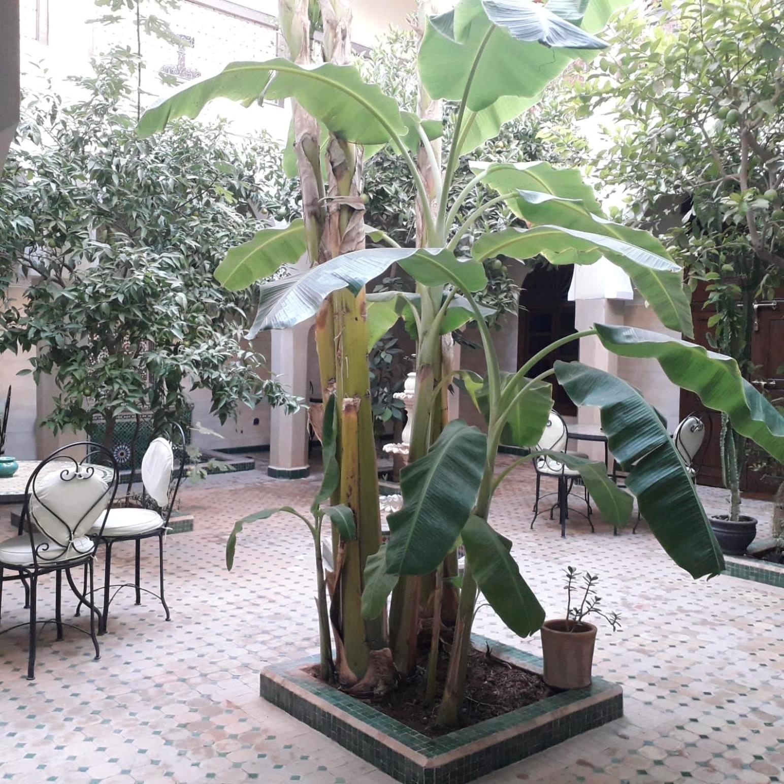 Riad Tidar By Phoenix Marraquexe Exterior foto